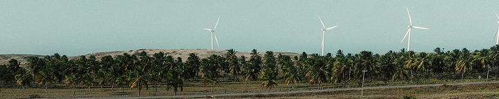 Cocotal y aerogeneradores al fondo de las dunas de Icaraizinho